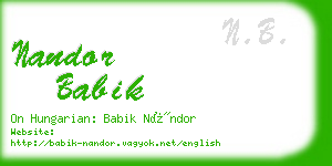 nandor babik business card